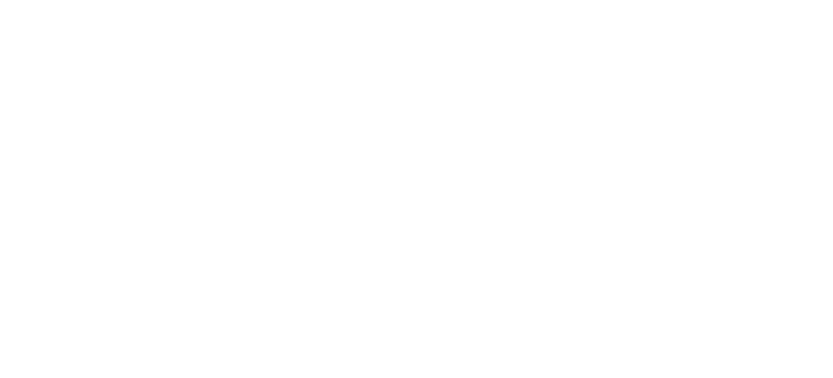 MEME FACTS